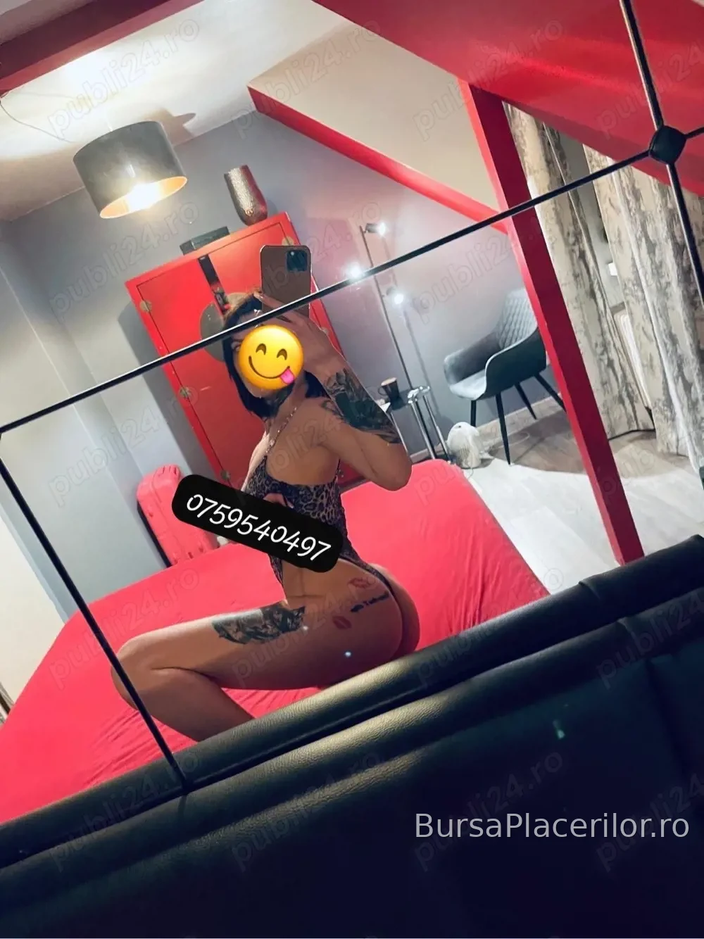 Moldoveanca dulce rau   party cupluri   deplasari la orice ora