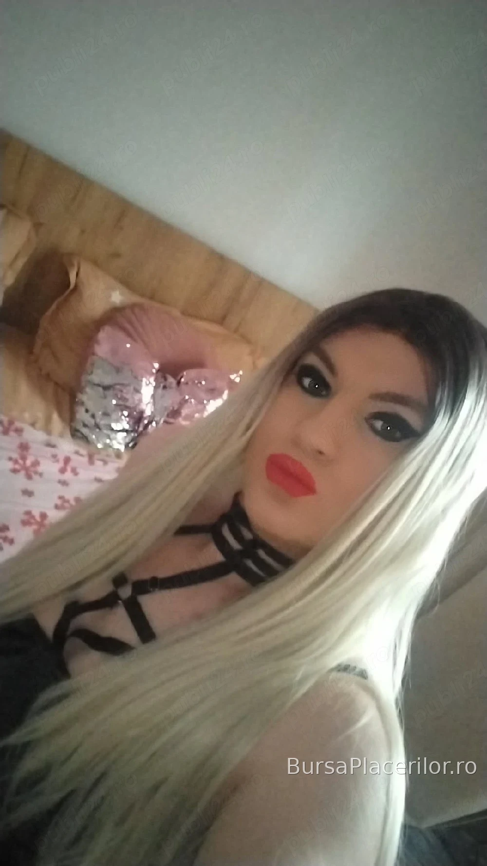 Alice noua la tine in oras - 0799344272