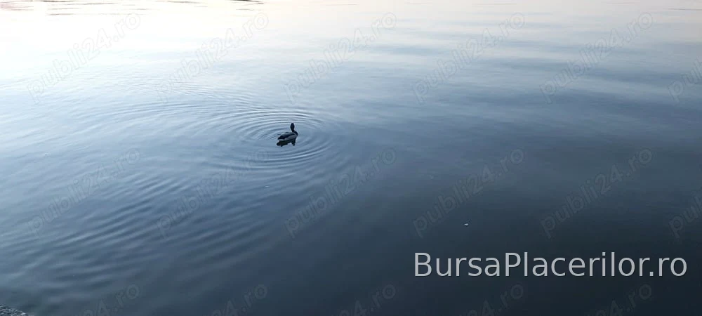 Masaj relaxare!Detin locatie!Numai pentru doamne sau cupluri