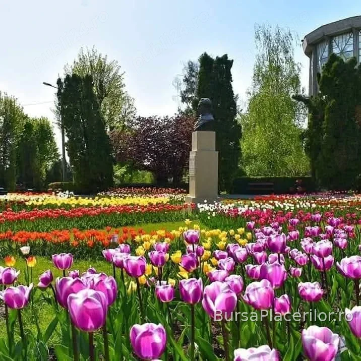 Masaj de relaxare - 0770920766