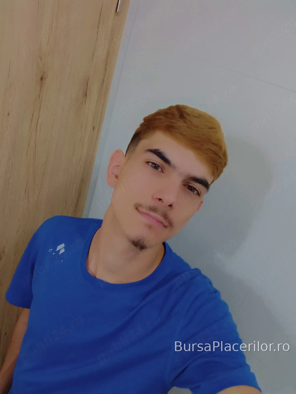 Doar Sow Web Si Deplasări Gabită - 0770361510