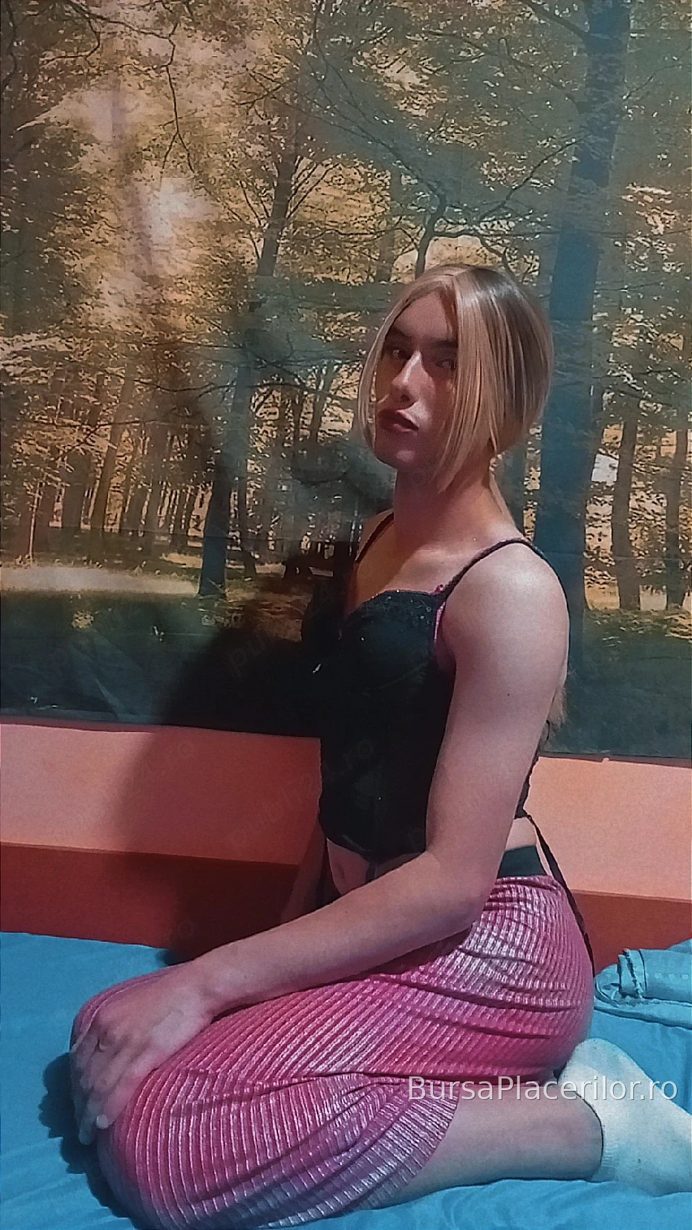 trans Gabriela - 0790048263